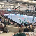 Die LIQUI MOLY EHF Cup Finals in Göppingen 2017